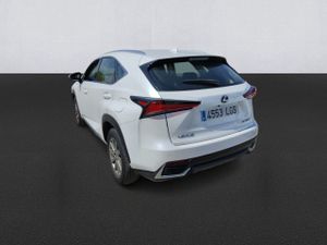 Lexus Nx 2.5 300h Business Navigation 2wd - Foto 7
