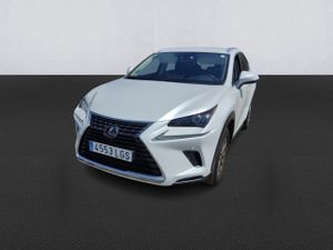 Lexus Nx 2.5 300h Business Navigation 2wd - Foto 2
