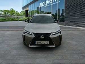 Lexus Ux 2.0 250h Business - Foto 3