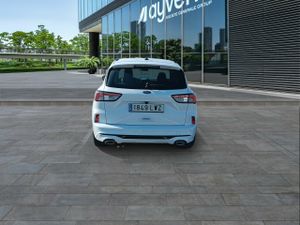 Ford Kuga St-line 2.5 Duratec Fhev 140kw Auto - Foto 6