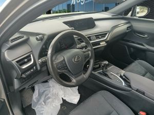 Lexus Ux 2.0 250h Business - Foto 8