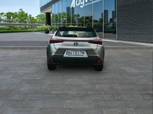Lexus Ux 2.0 250h Business - Foto 6