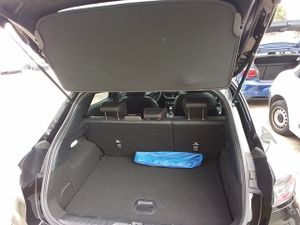 Ford Puma 1.0 Ecoboost 125cv St-line X Mhev - Foto 8