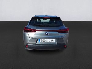 Lexus Ux 2.0 250h Business - Foto 6