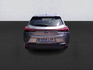 Lexus Ux 2.0 250h Business - Foto 6