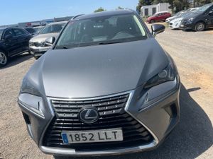 Lexus Nx 2.5 300h Business Navigation 2wd - Foto 3