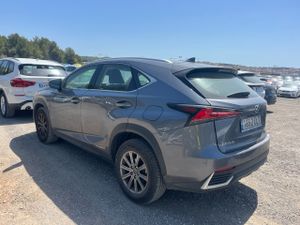 Lexus Nx 2.5 300h Business Navigation 2wd - Foto 7