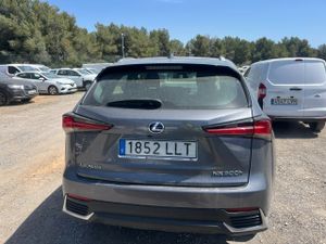 Lexus Nx 2.5 300h Business Navigation 2wd - Foto 6