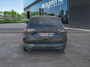 Ford Kuga (o) St-line 2.5 Duratec Phev 165kw Auto - Foto 6
