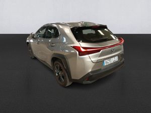 Lexus Ux 2.0 250h Business - Foto 7