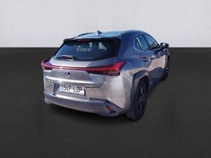 Lexus Ux 2.0 250h Business - Foto 5