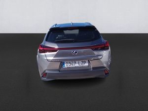 Lexus Ux 2.0 250h Business - Foto 6