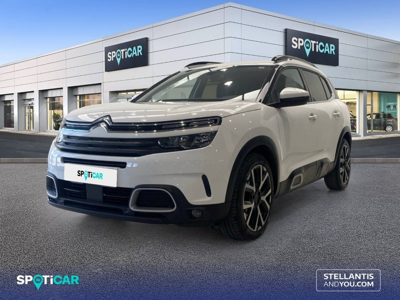 Citroën C5 Aircross  BlueHdi 132kW (180CV) S&S EAT8 Feel - Foto 1
