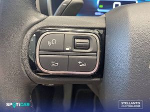 Citroën C5 Aircross  BlueHdi 132kW (180CV) S&S EAT8 Feel - Foto 21