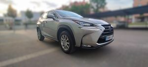 Lexus NX CORPORATE NAVI - Foto 7