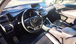 Lexus NX luxury - Foto 12