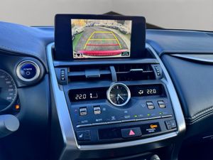 Lexus NX 300h Premium 2WD - Foto 14