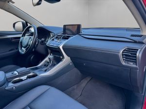 Lexus NX 300h Premium 2WD - Foto 10