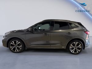 Ford Kuga 2.5 Duratec FHEV ST-Line X Auto 140 kW (190 CV) - Foto 3