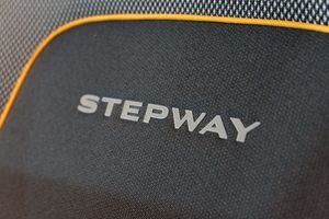 Dacia Sandero Stepway Expression TCe 67 kW (90 CV) CVT - Foto 12