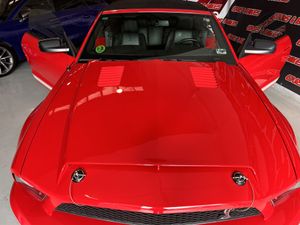 Ford Mustang Cabrio Shelby supercharger  - Foto 25