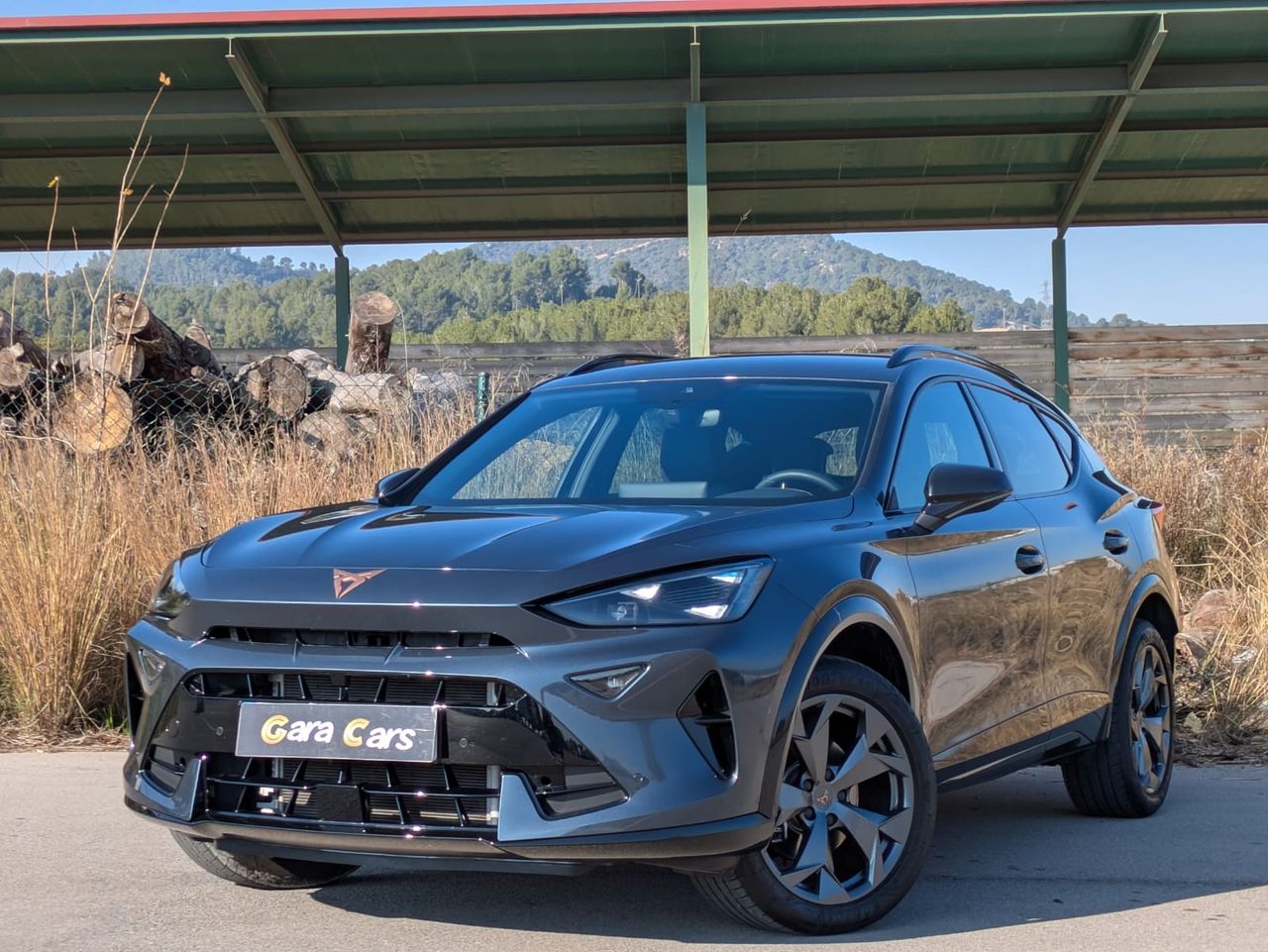 Cupra Formentor 1.5 eTSI 110kW 150 CV DSG - Foto 1