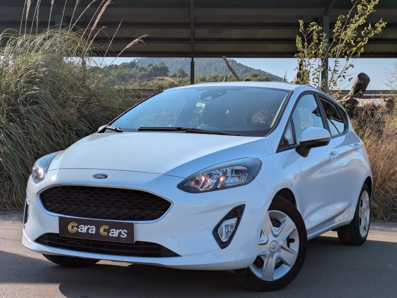 Ford Fiesta 5p Trend 1.0 EcoBoost 74 kW - Foto 1