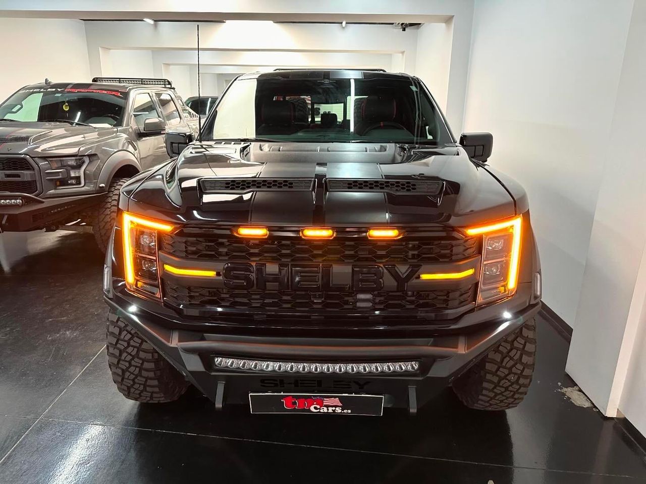 Ford F-150 SHELBY RAPTOR BAJA  - Foto 1