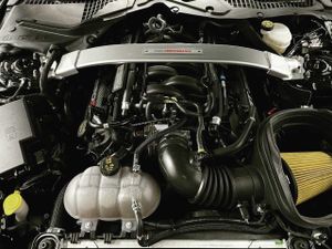 Ford Mustang Shelby GT350 R VENDIDO!!  - Foto 10