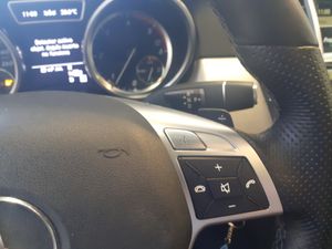 Mercedes Clase M 250 Bluetec 4 Matic  - Foto 11