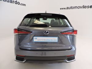 Lexus NX 2.5 300h Business 2WD - Foto 5