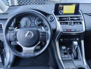 Lexus NX 2.5 300h Business 2WD - Foto 7