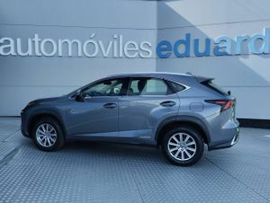 Lexus NX 2.5 300h Business 2WD - Foto 6