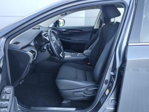 Lexus NX 2.5 300h Business 2WD - Foto 12