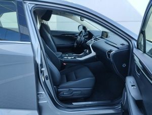 Lexus NX 2.5 300h Business 2WD - Foto 13