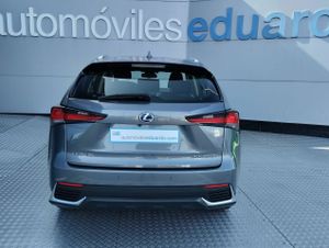 Lexus NX 2.5 300h Business 2WD - Foto 5