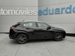 Lexus UX 2.0 250h Business - Foto 4