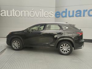 Lexus NX 2.5 300h Business 2WD - Foto 6