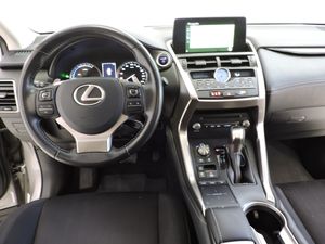 Lexus NX NX 300h Business Line 5d - Foto 7