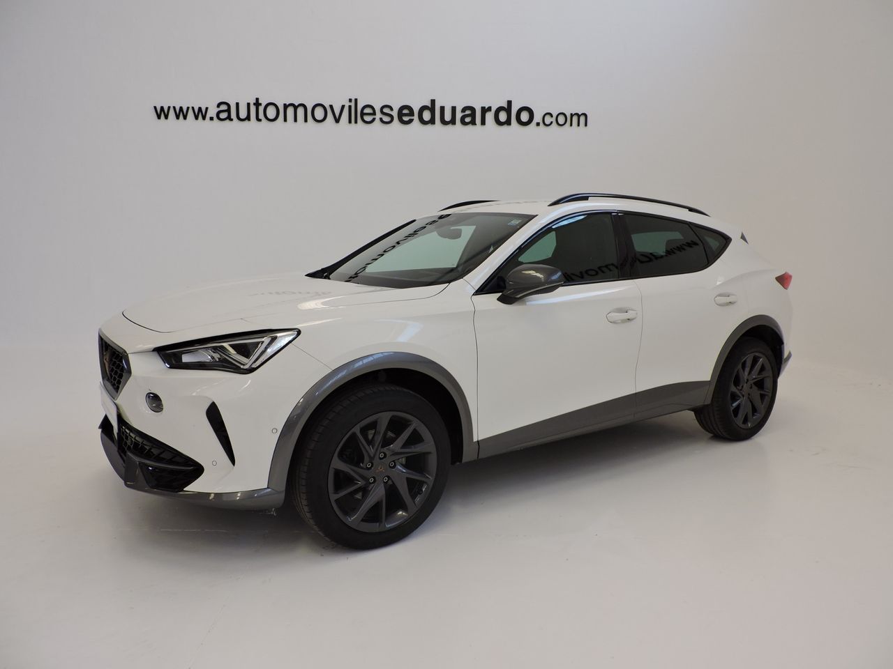 Cupra Formentor 2.0 TDI 110 kW - Foto 1