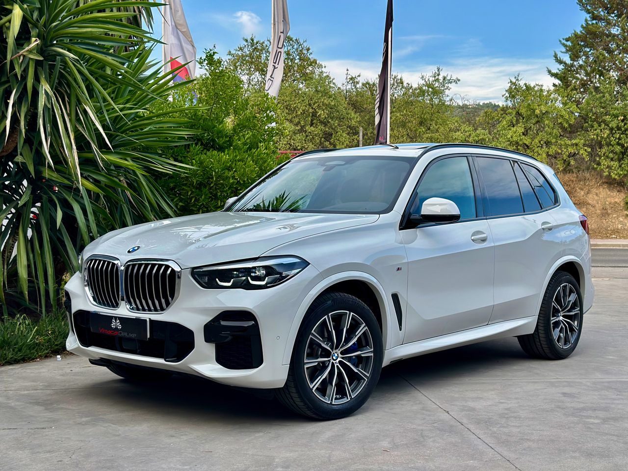 BMW X5 XDRIVE40DA PAQUETE M, TECHO PANORAMICO SUSPENSION ADPATATIVA  - Foto 1