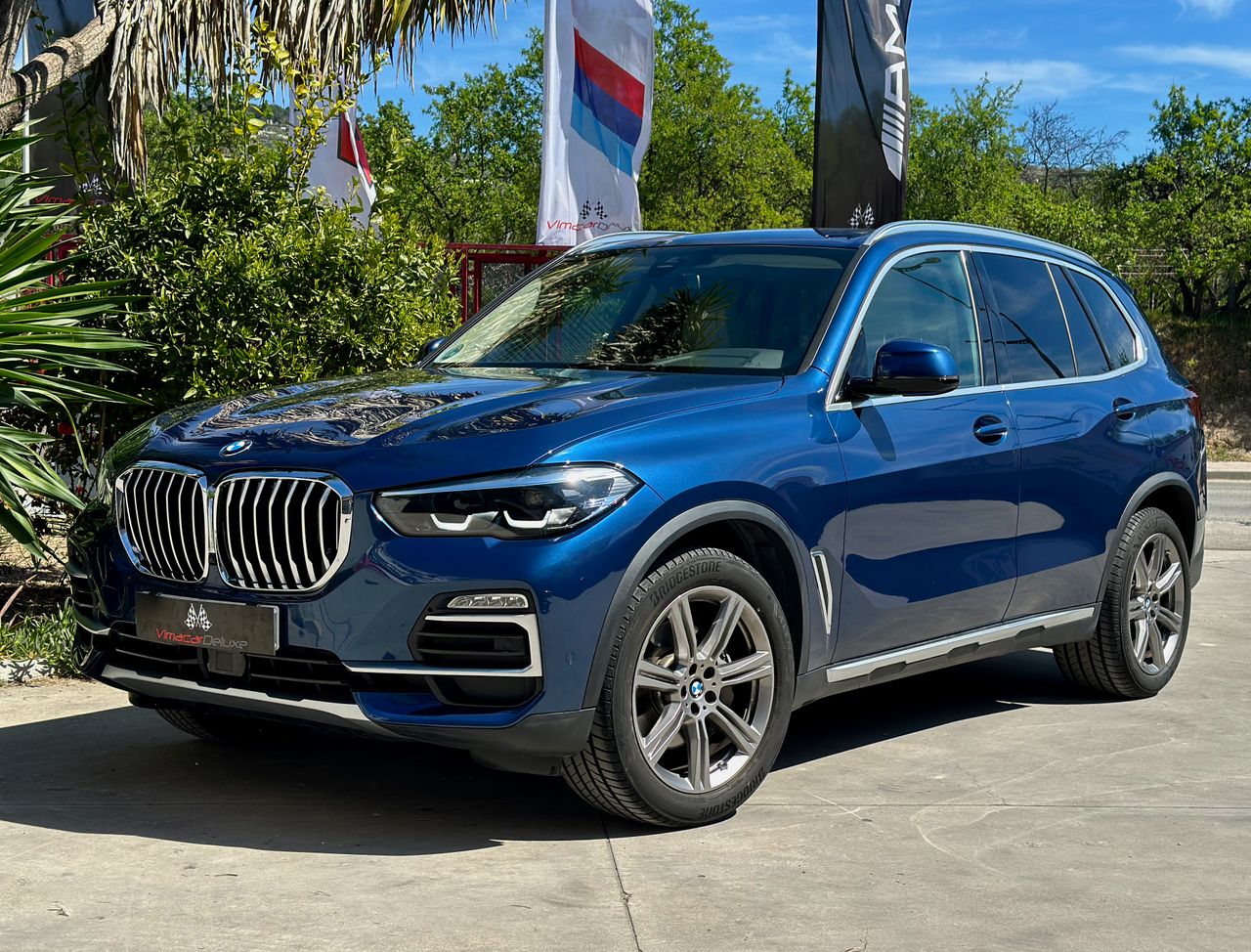 BMW X5 XDRIVE30D X-LINE   - Foto 1
