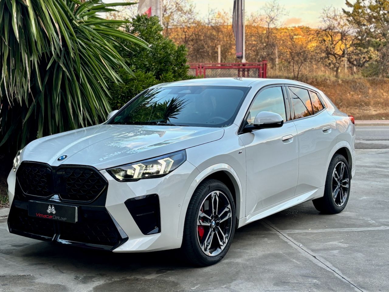 BMW X2 SDRIVE18D AUTO. M SPORT PRO - Foto 1