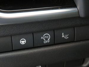 Nissan Qashqai DIGT 116 kW 160 CV E6D DCT ACENTA  - Foto 33