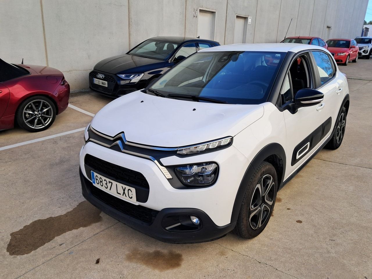 Citroen C3 Bluehdi 75kw (100cv) S&s Feel - Foto 1