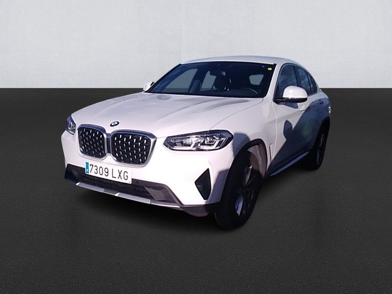 Bmw X4 Xdrive20d Xline - Foto 1