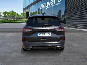 Ford Kuga St-line 2.5 Duratec Phev 165kw Auto - Foto 5