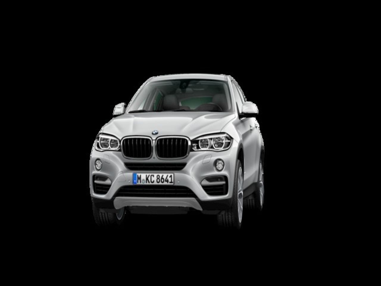 BMW X6 xDrive30d 190 kW (258 CV)  - Foto 1