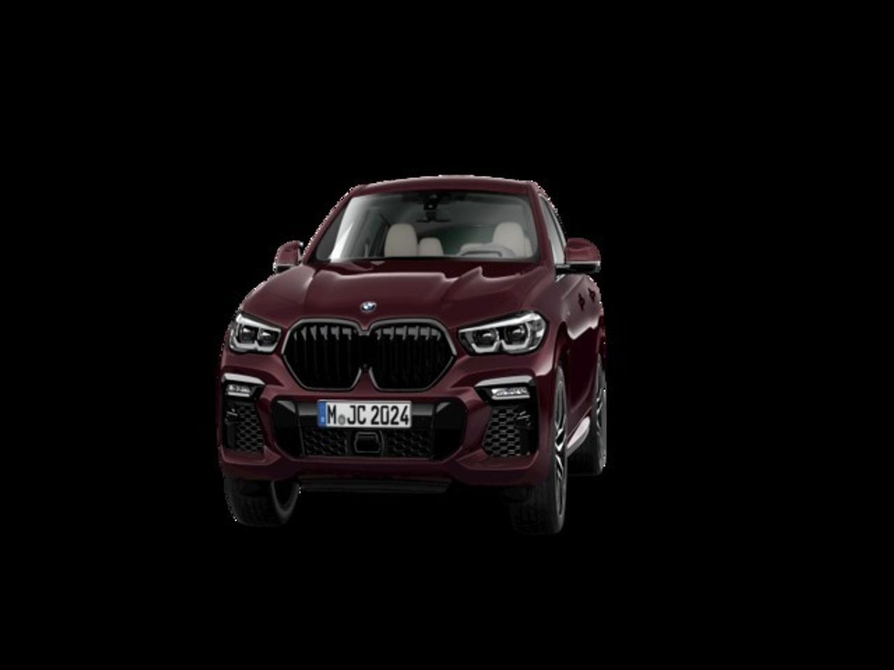BMW X6 xDrive30d 195 kW (265 CV)  - Foto 1