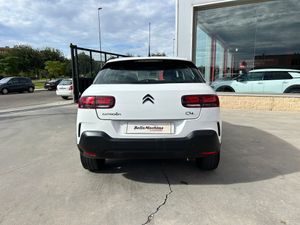 Citroën C4 Cactus PureTech 110 S&S Feel  - Foto 6